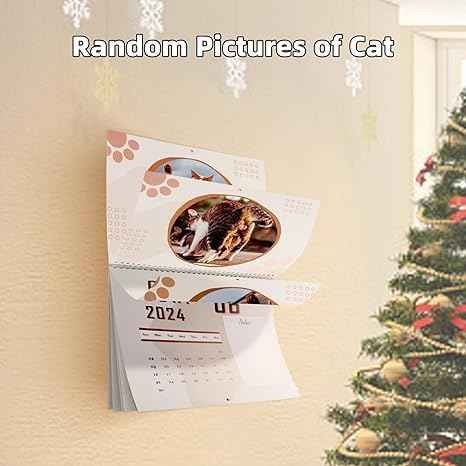 Cat Balls Calendar 2024 - TTpen