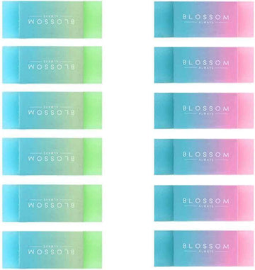DELI 71081 BLOSSOM Pencil Erasers 12 Pack - TTpen