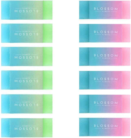 DELI 71081 BLOSSOM Pencil Erasers 12 Pack - TTpen