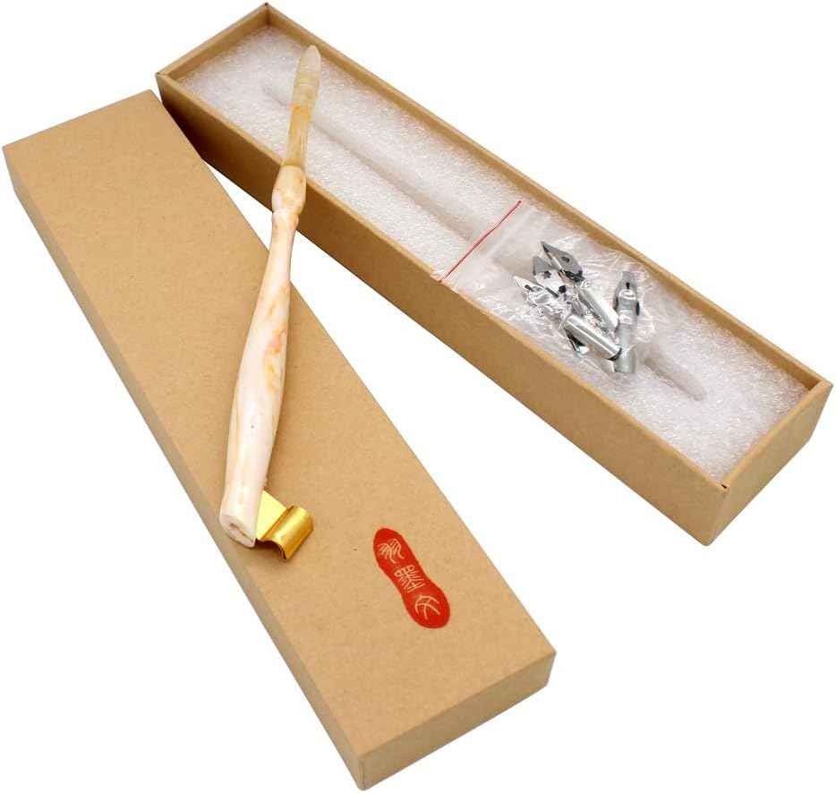 Oblique Calligraphy Nib Pen Point Holder Dip Pen 5 Flat Nibs - TTpen