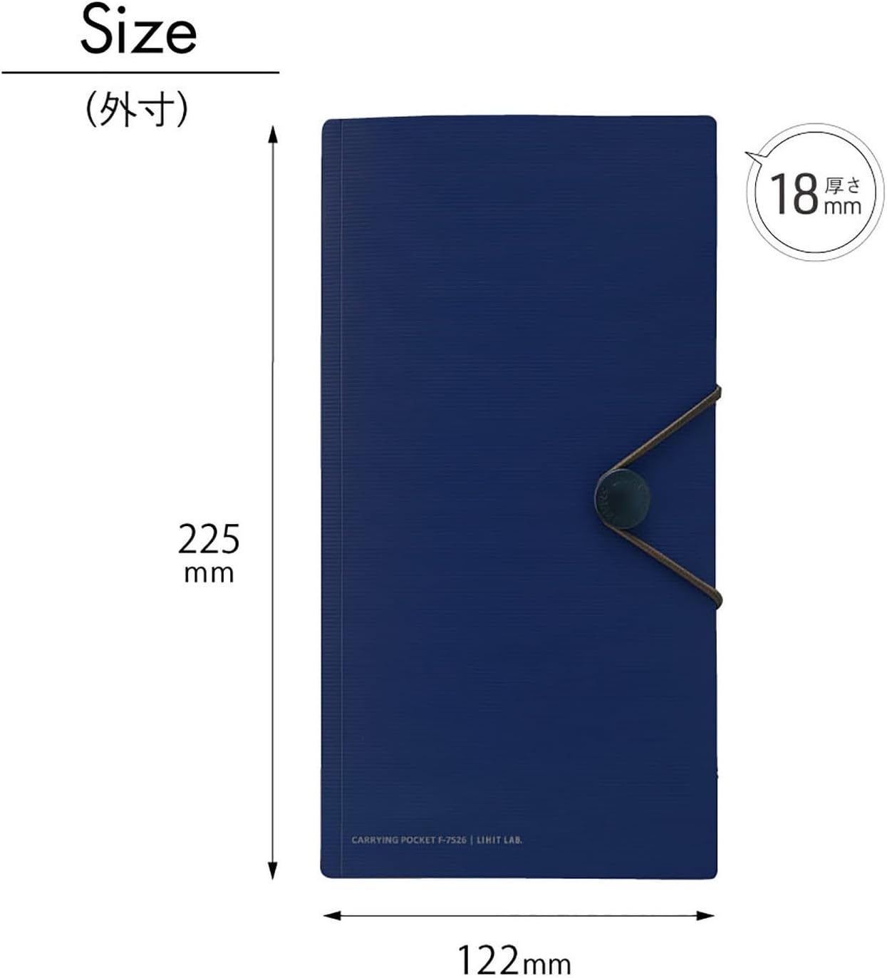 Lihit Lab Japan Carrying Pocket Travel Passport Holder