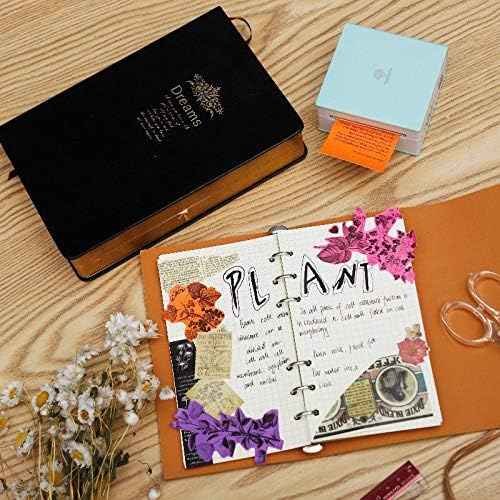 Phomemo Colorful Thermal Sticker Paper for M02/M03 Pocket Printer - TTpen