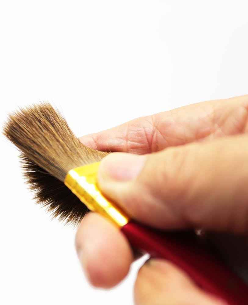 Mont Marte Art Paint Brushes Set with Case,10 Different Size - TTpen