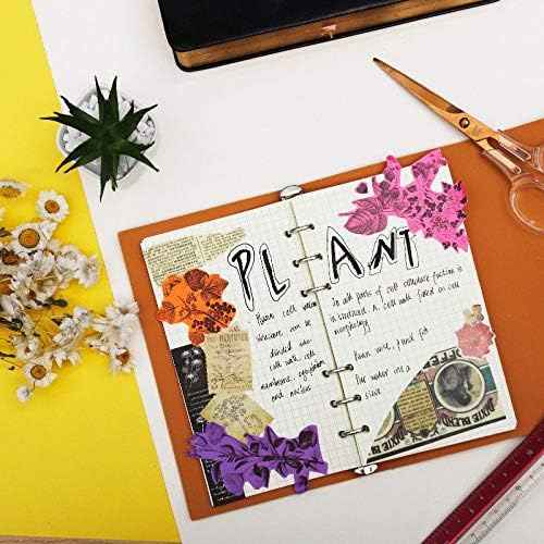 Phomemo Colorful Thermal Sticker Paper for M02/M03 Pocket Printer - TTpen