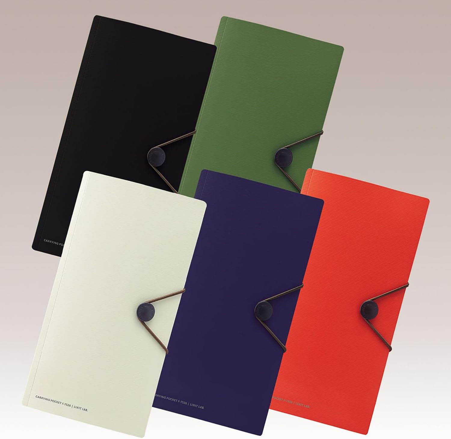 Lihit Lab Japan Carrying Pocket Travel Passport Holder