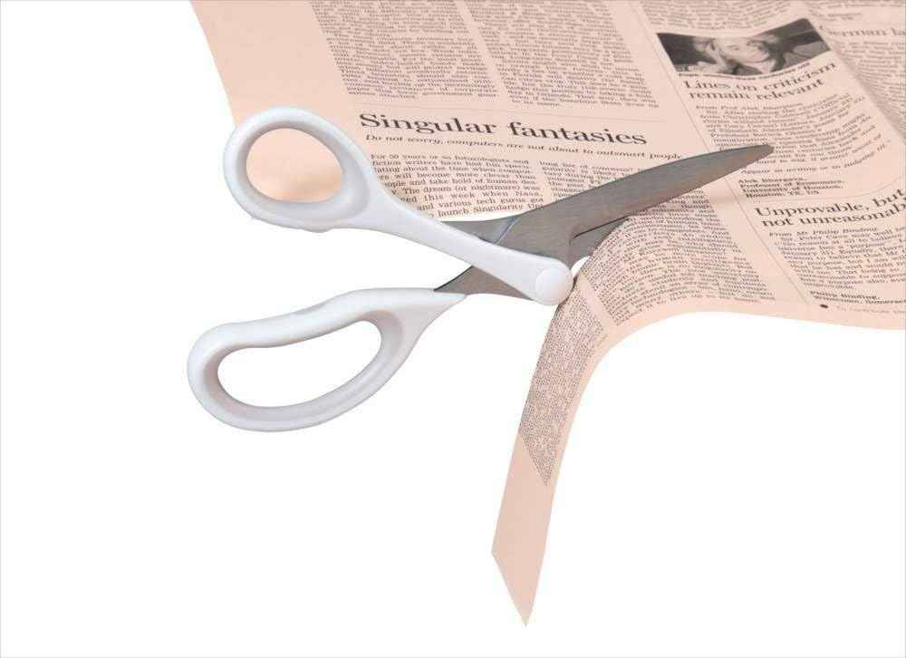 Raymay Fujii Scissors Swing Cut Titanium Coated