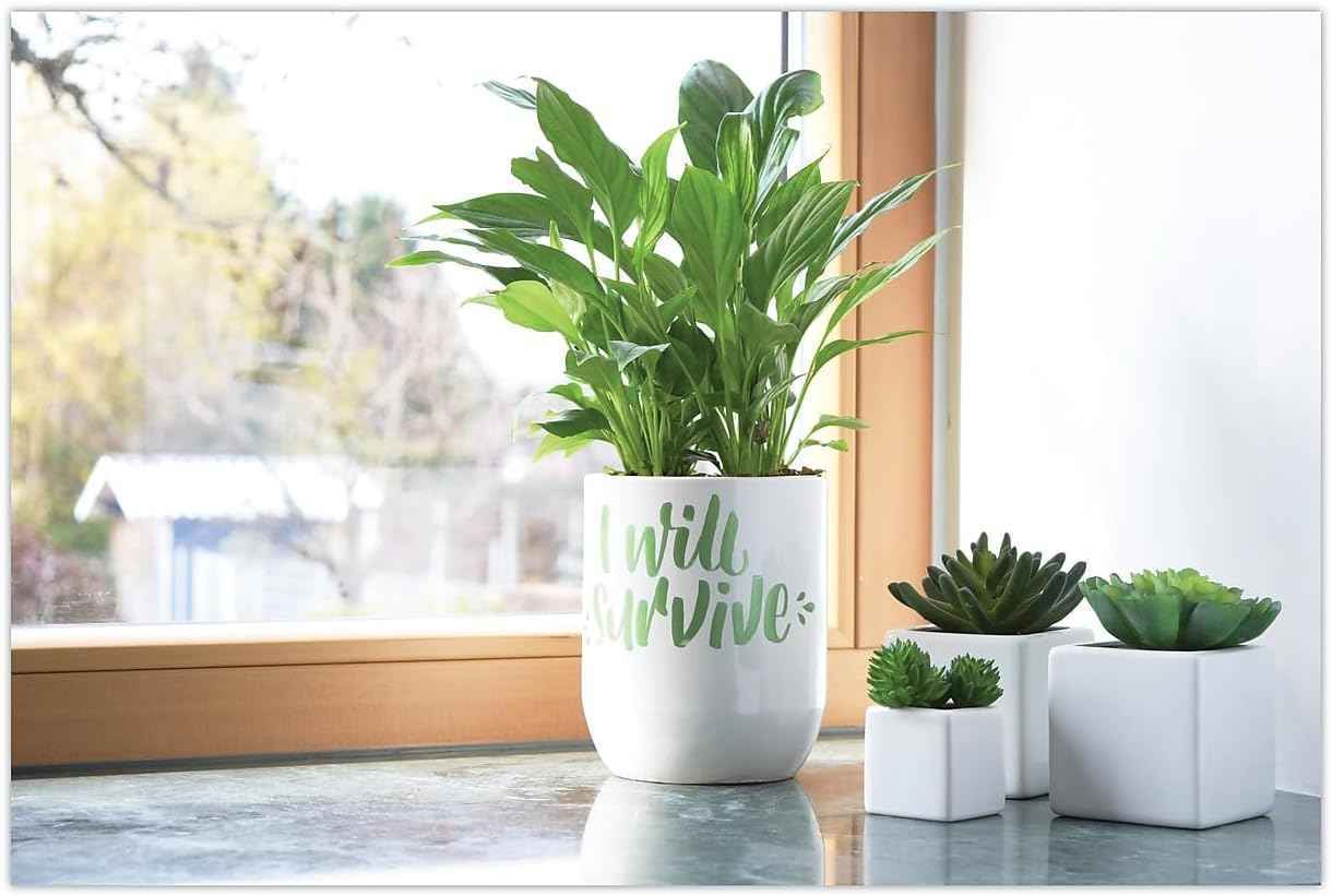 Uni Posca Paint Marker PC-8K,Broad Chisel Tips,8 Metallic Colors