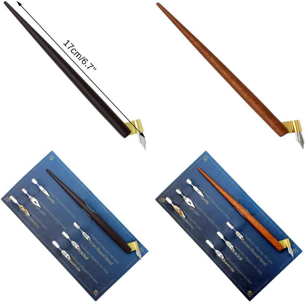 Manga Calligraphy Drawing Pen Dip Pen with 12 Nibs - TTpen