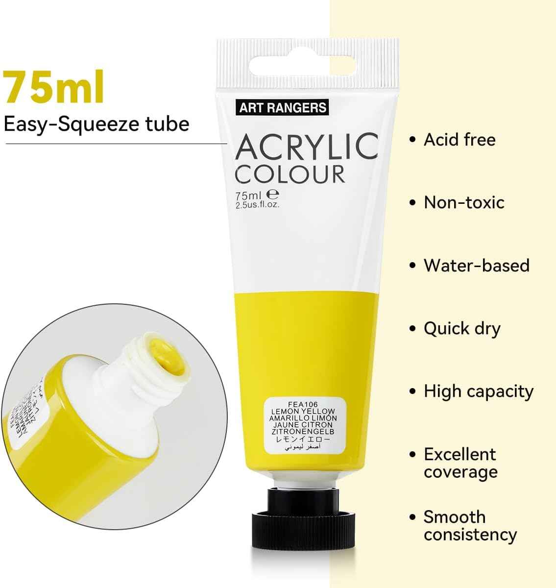 6 Acrylic Paint Art Supplies Set,75 ml Tubes,Regular Color - TTpen