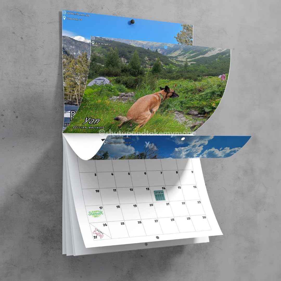 Dogs Pooping In Beautiful Places 2024 Calendar - TTpen