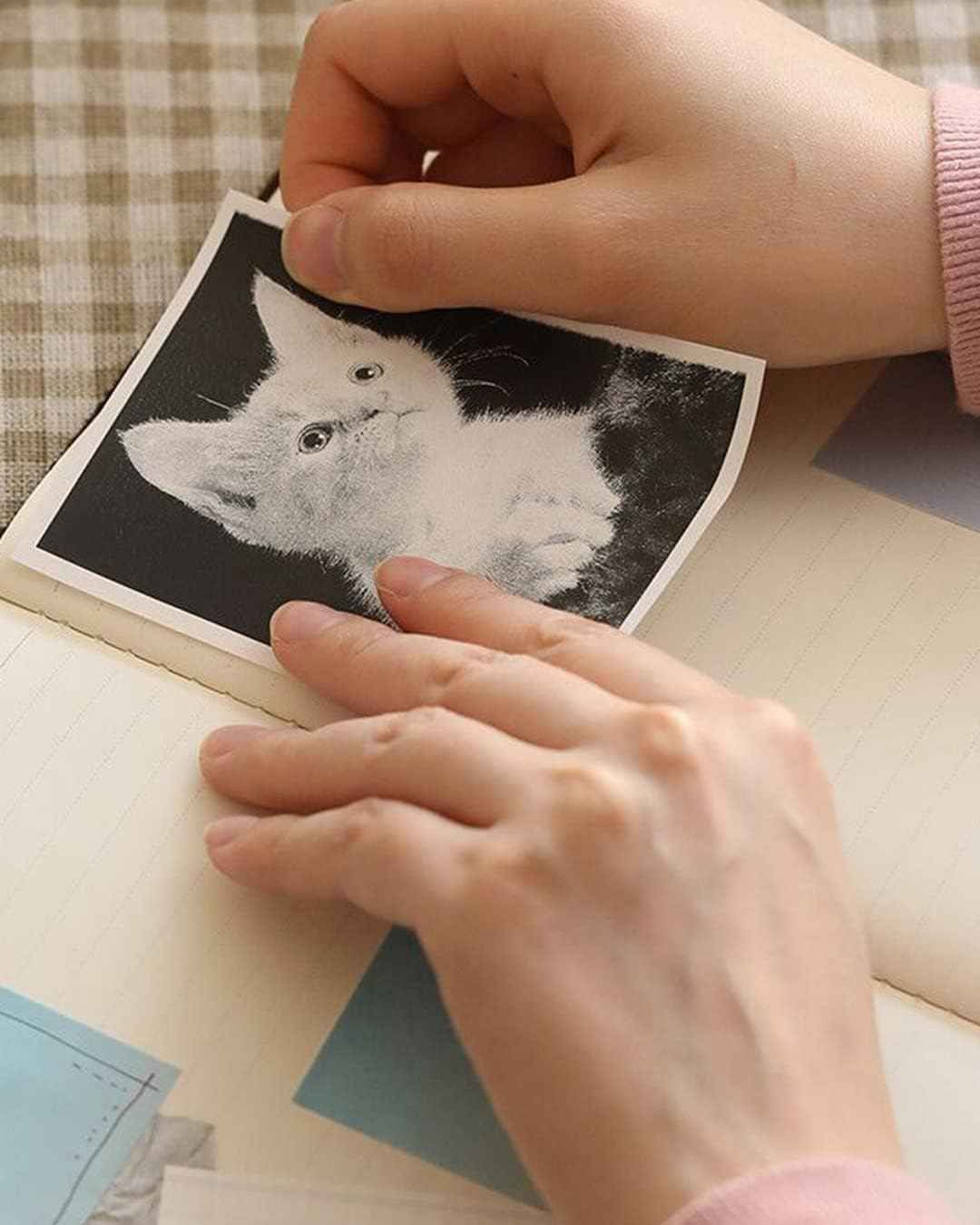 Phomemo White Adhesive Thermal Sticker Paper 77mm for M03 M04S Printer - TTpen