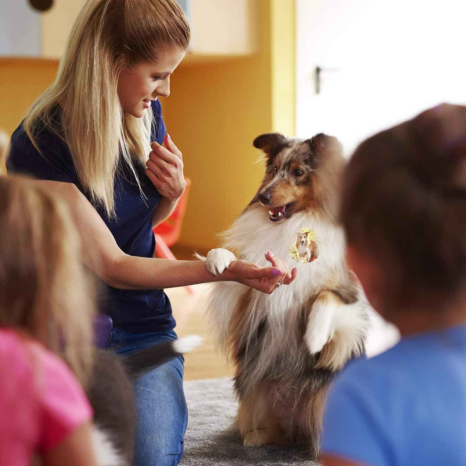 600Pcs Farm Animal Roll Stickers for Kids Classroom Rewards Party Favor,1.5 Inch - TTpen