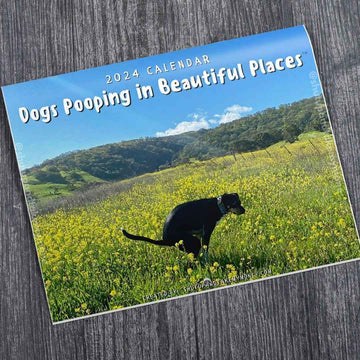 Dogs Pooping In Beautiful Places 2024 Calendar - TTpen