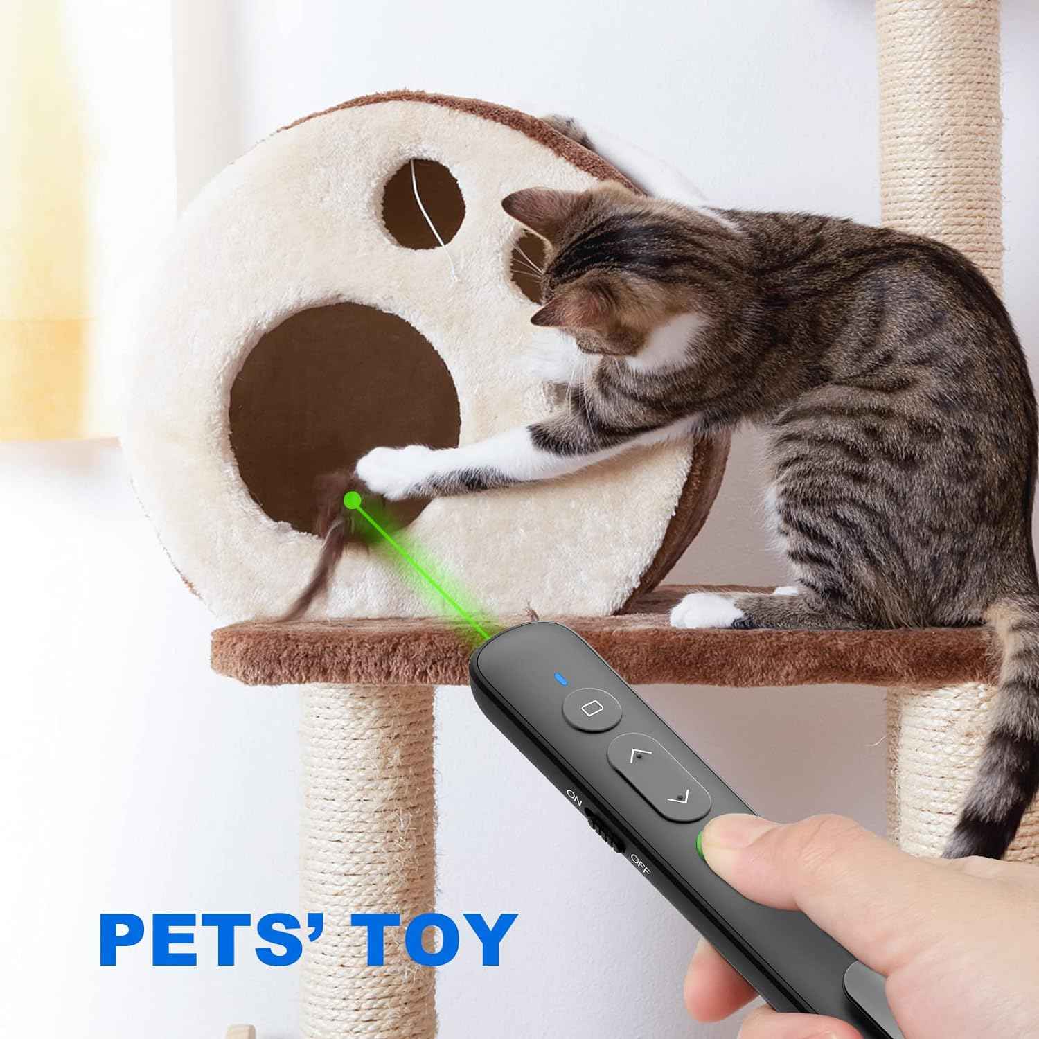 Red/Green Laser Presentation Clicker PowerPoint Wireless Presenter Remote - TTpen