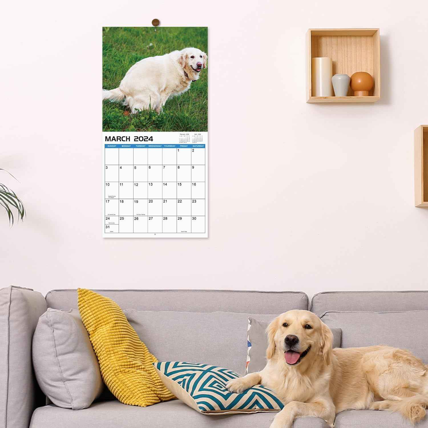 2024 Wall Calendar Crapping Dogs - TTpen