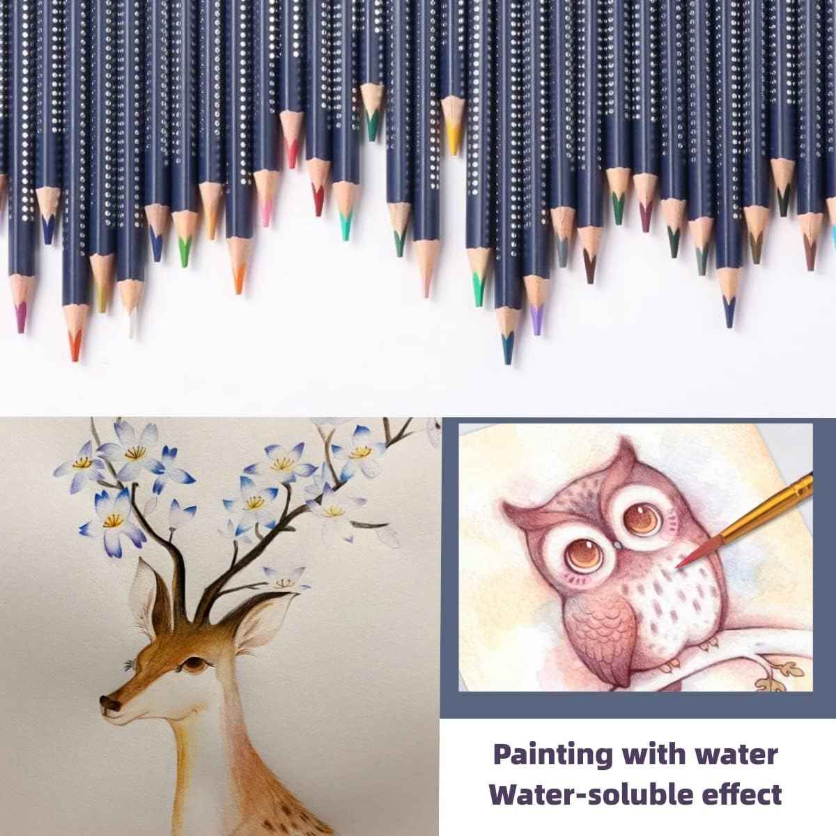 GIORGIONE Watercolor Pencils 36 ARTIST AQUARELLE Colored Pencils - TTpen