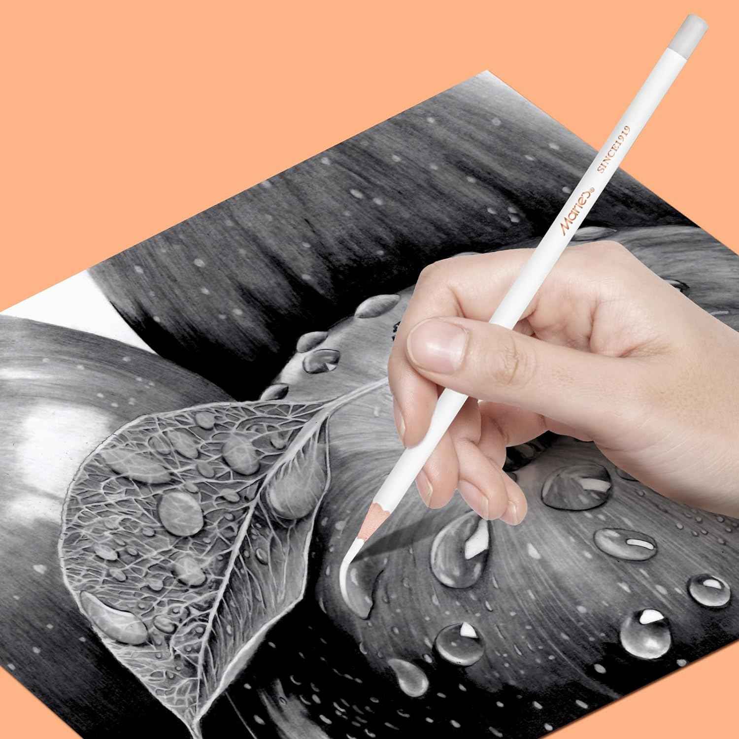 Marie’s Professional Eraser Drawing Pencil 6 Pack - TTpen