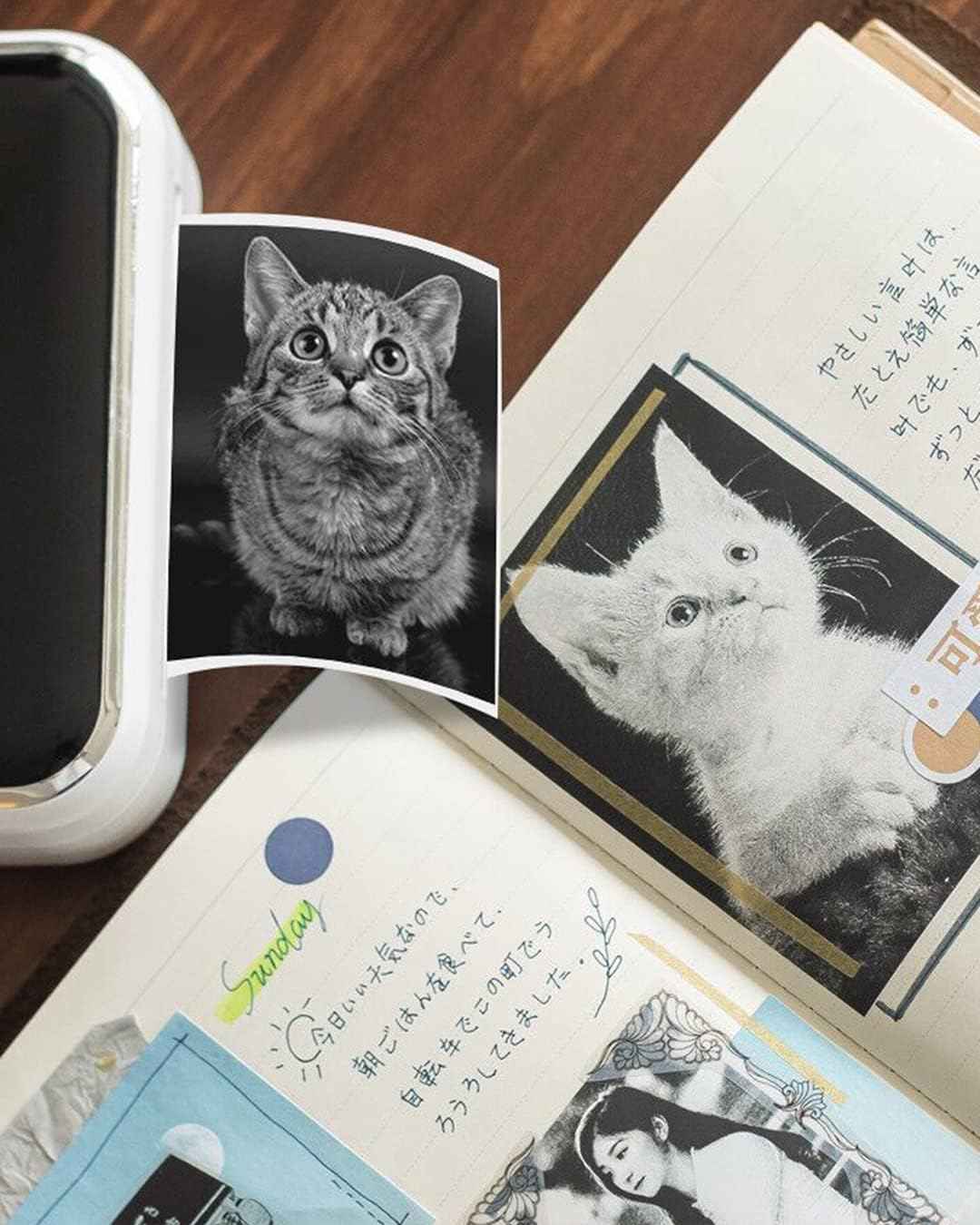 Phomemo White Adhesive Thermal Sticker Paper 77mm for M03 M04S Printer - TTpen