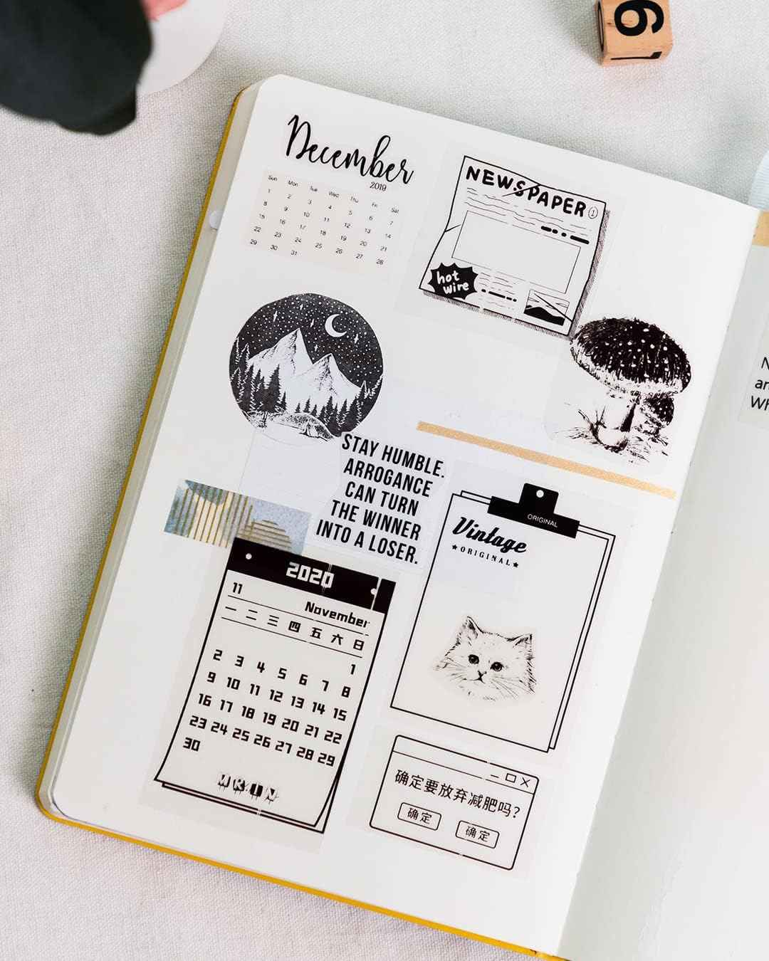 Phomemo Transparent Adhesive Thermal Sticker Paper 50mm for T02 M02 M04S Printer - TTpen