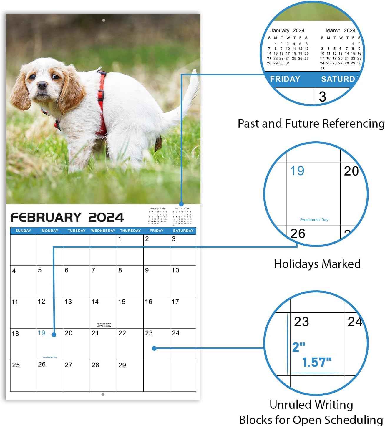 2024 Wall Calendar Crapping Dogs - TTpen