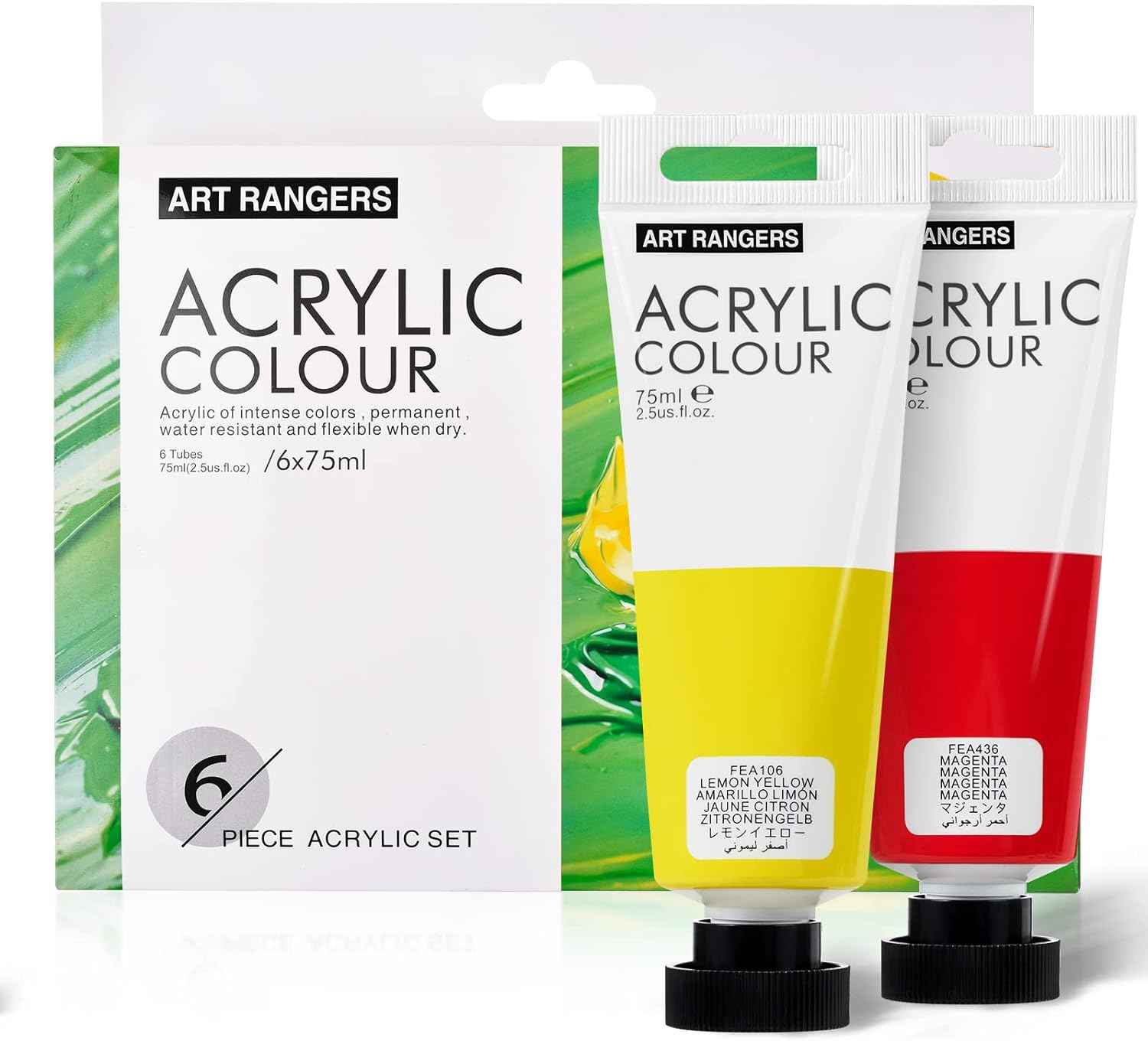 6 Acrylic Paint Art Supplies Set,75 ml Tubes,Regular Color - TTpen