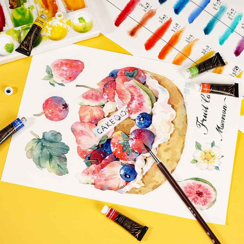 Paul Rubens Profesional Artist Watercolor Paint Set,5ml Tube,12 Colors - TTpen