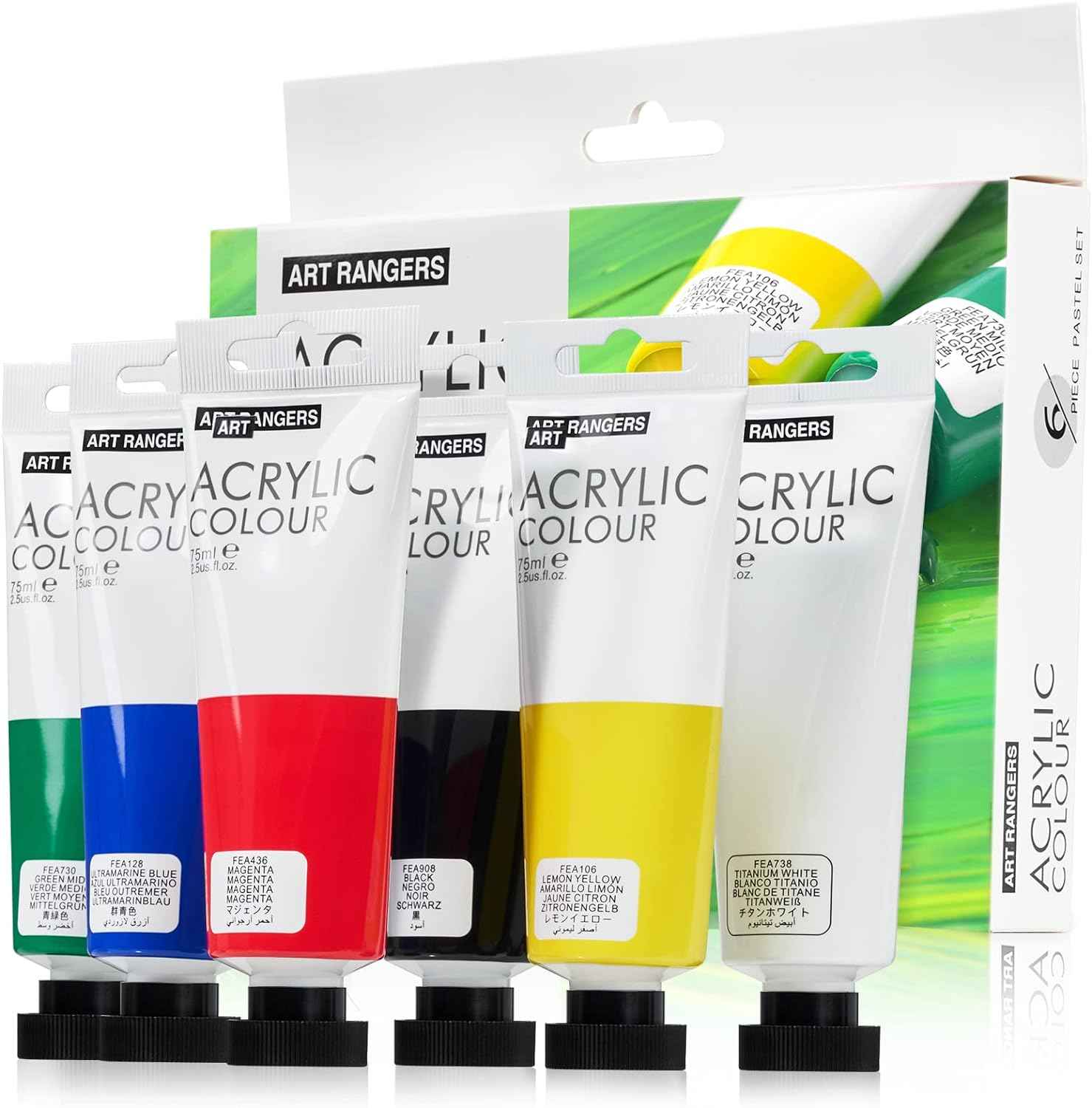 6 Acrylic Paint Art Supplies Set,75 ml Tubes,Regular Color - TTpen