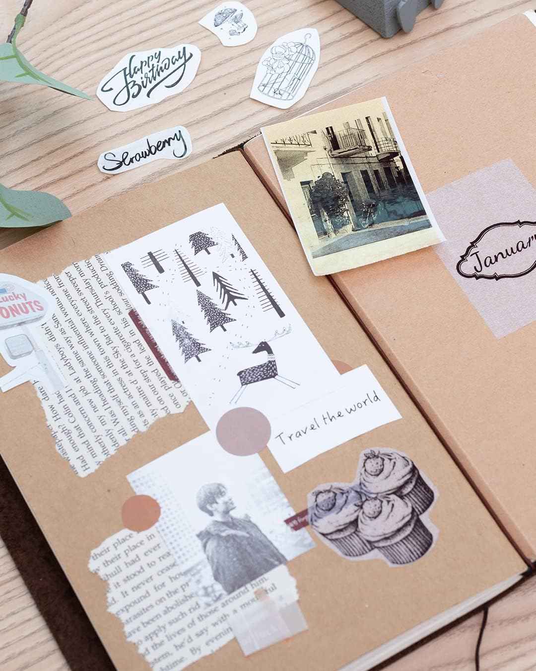 Phomemo White Adhesive Thermal Sticker Paper 50mm for T02 M02 M04S Printer - TTpen