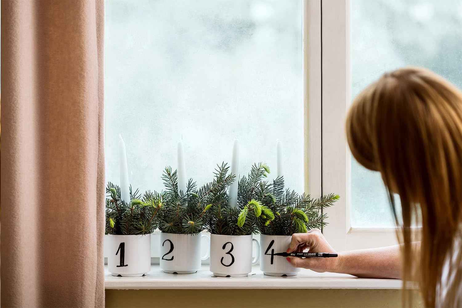 Pilot Oil-Based Twin Marker No Xylene - Extra Fine / Fine - 12 Colours