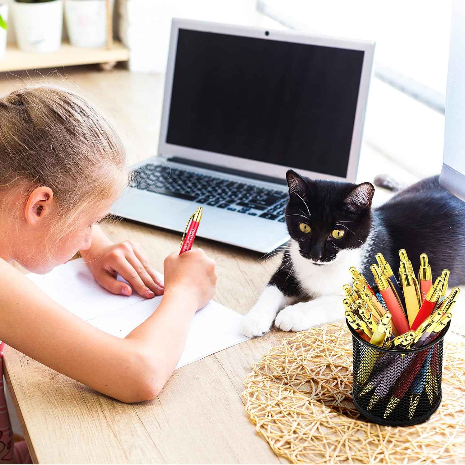 10pcs Cat Lovers Ballpoint Pen Set - TTpen