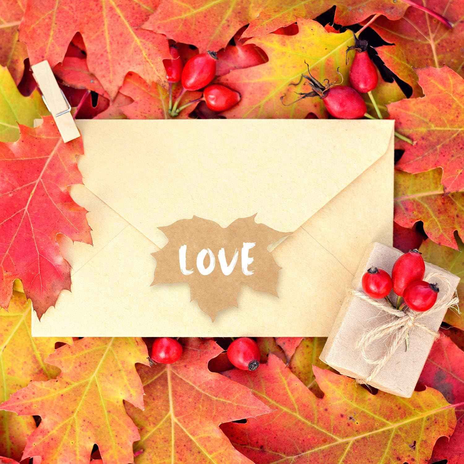 200 Pieces Thanksgiving Fall Leaves Autumn Kraft Paper Labels Stickers - TTpen