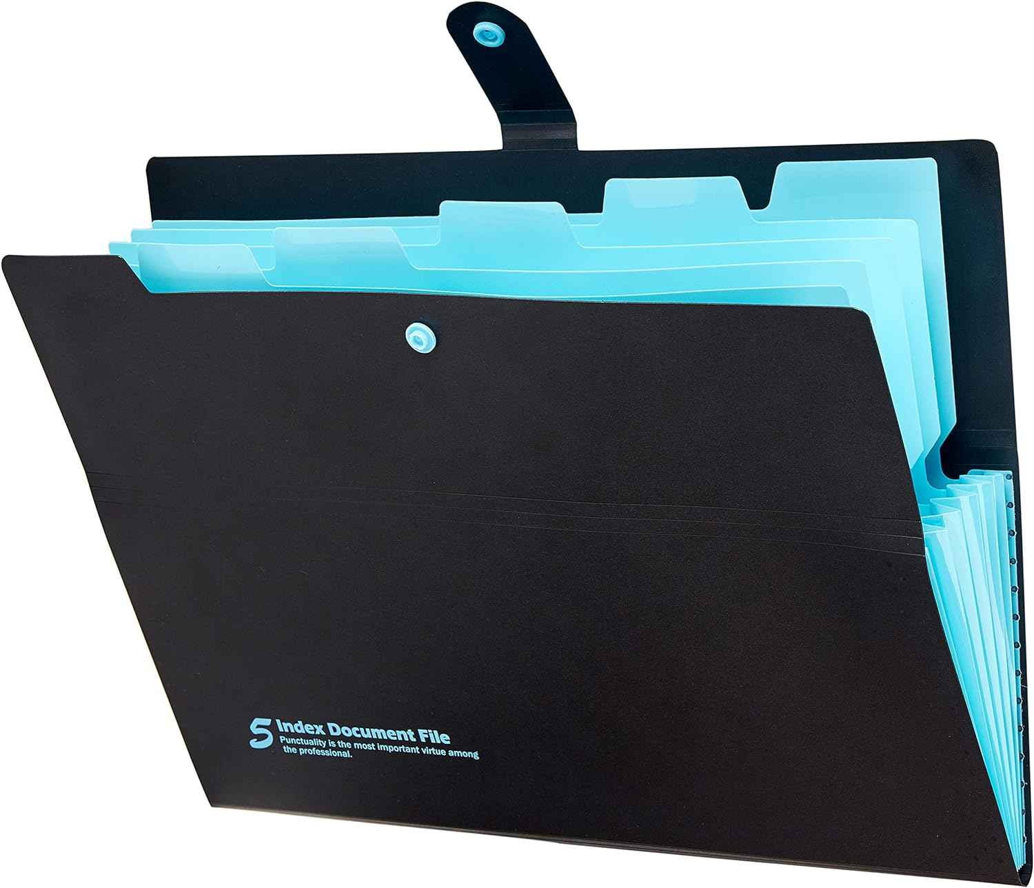 4 Pack Expanding File Folders with 6 Pockets,A4 Letter Size - TTpen