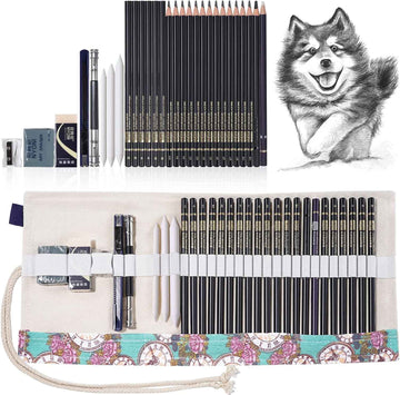 30pcs Professional Art Drawing Sketching Pencils - TTpen