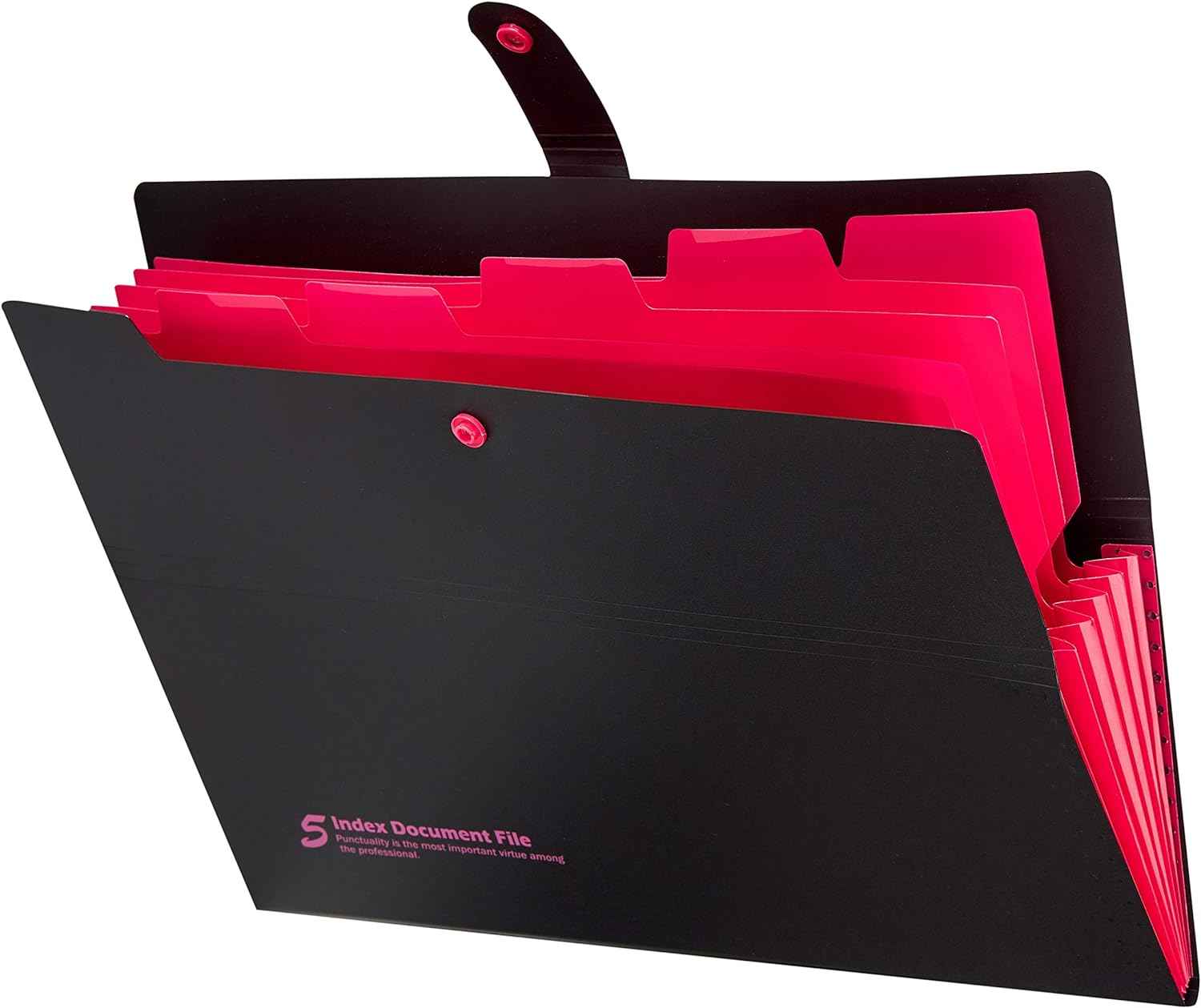 4 Pack Expanding File Folders with 6 Pockets,A4 Letter Size - TTpen