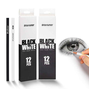 BRUTFUNER 12Pcs Black & White Oily Color Sketch Drawing Pencils - TTpen