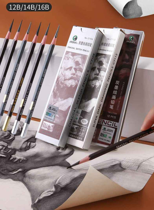 Marie's 12 Pack Charcoal Pencils Pitt Graphite Matt 12B/14B/16B - TTpen