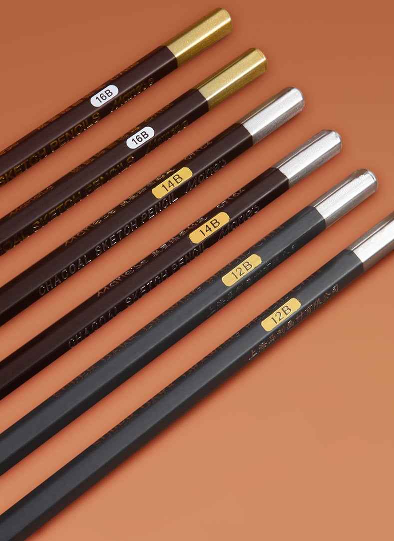 Marie's 12 Pack Charcoal Pencils Pitt Graphite Matt 12B/14B/16B - TTpen