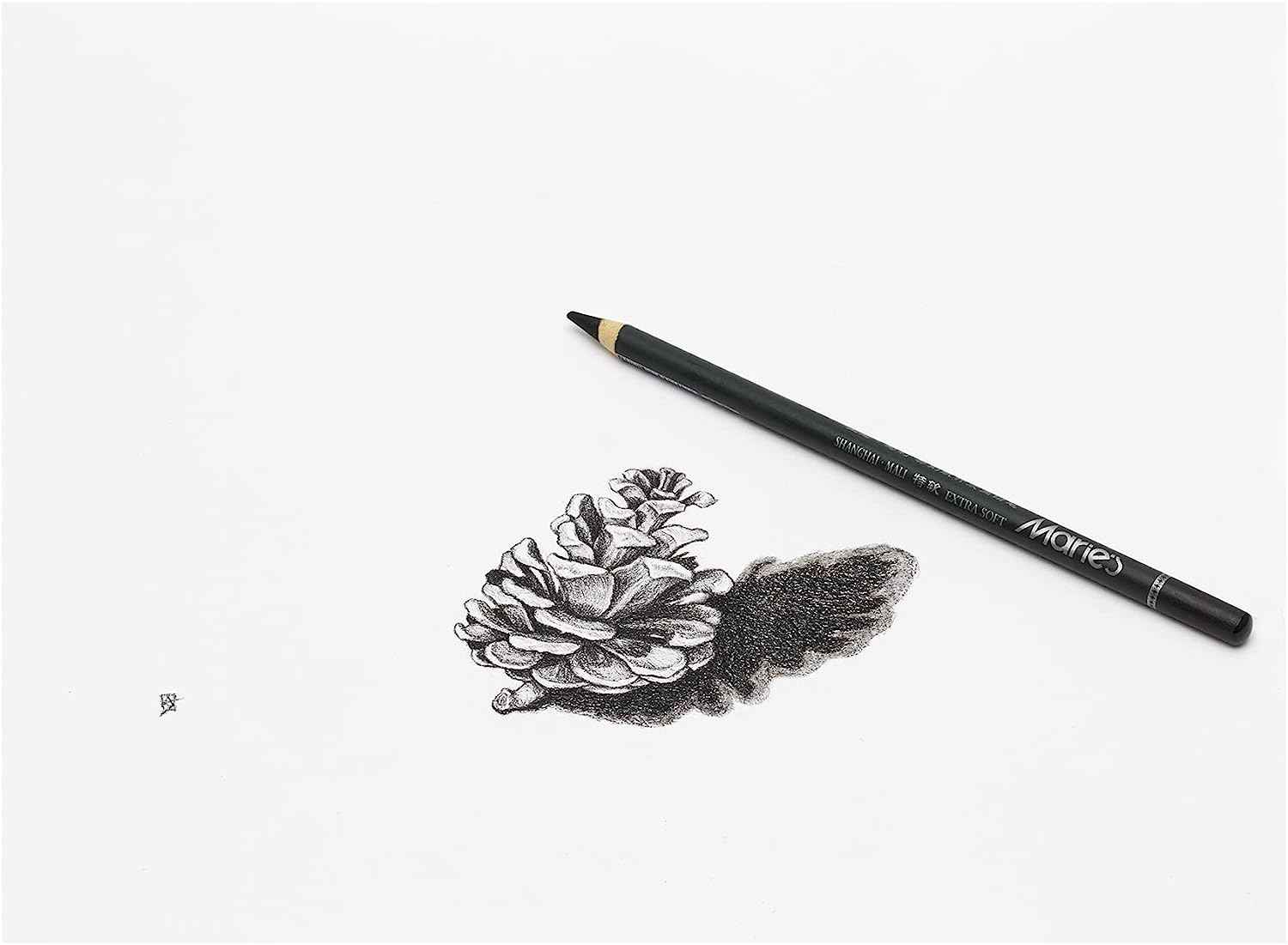 Marie's 12 Artist Soft Black Paper Handle Charcoal Pencils for Drawing Sketching - TTpen