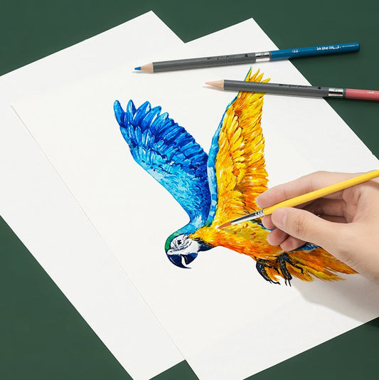 DELI Nusign NS731 Premium Watercolor Pencils | Set of 48/72