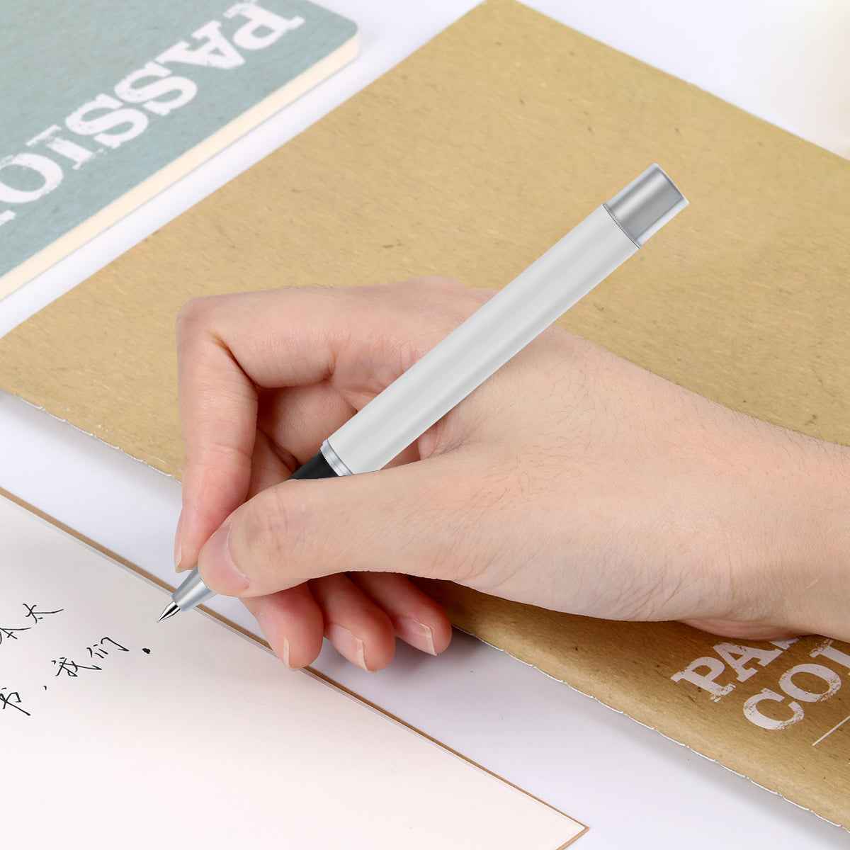 DELI S80 Gel Pen 0.5MM Fine Point,Black White Metal Body-2 Pack - TTpen