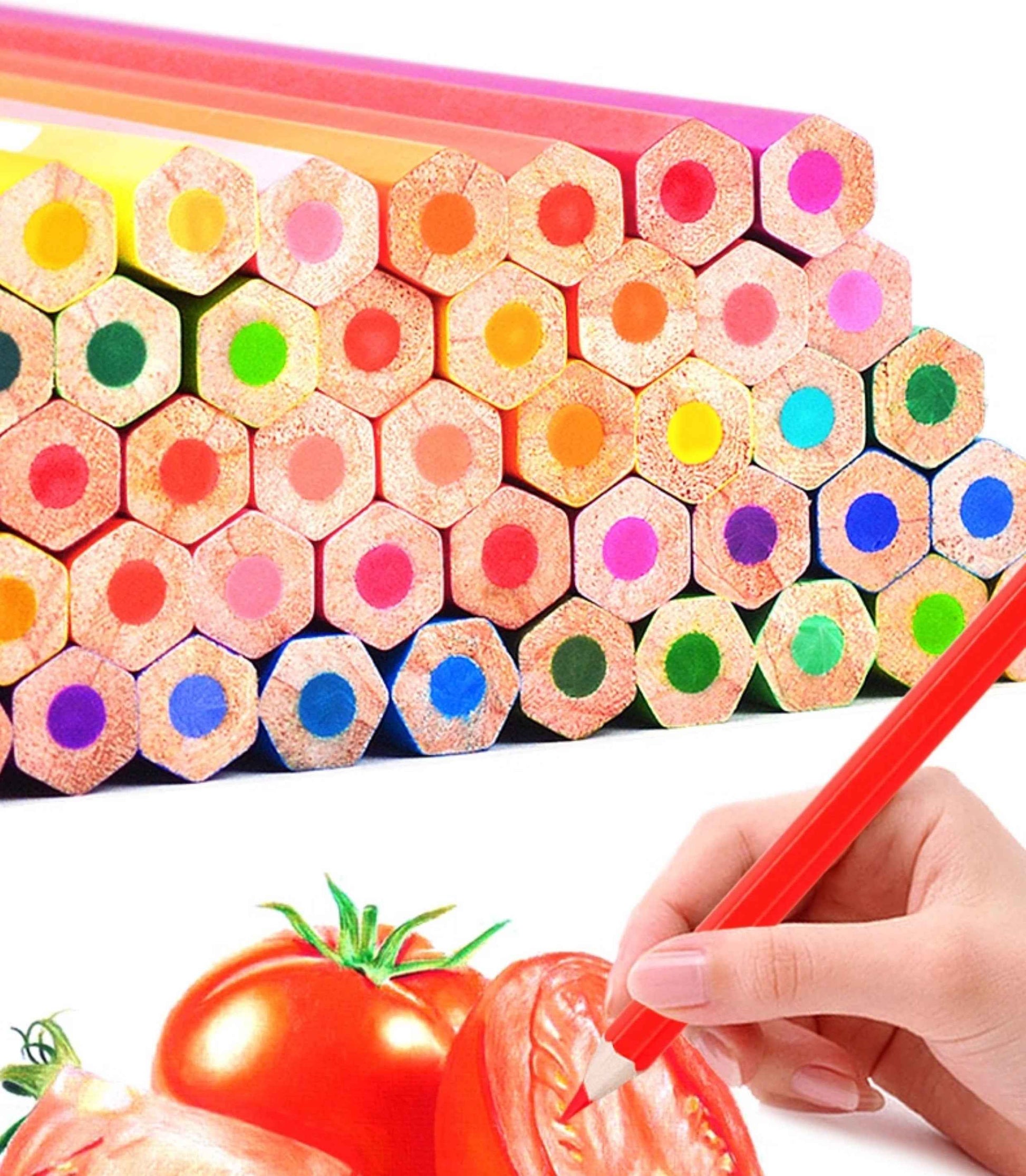 Faber Castell Watercolor Colored Pencils 48 Colors