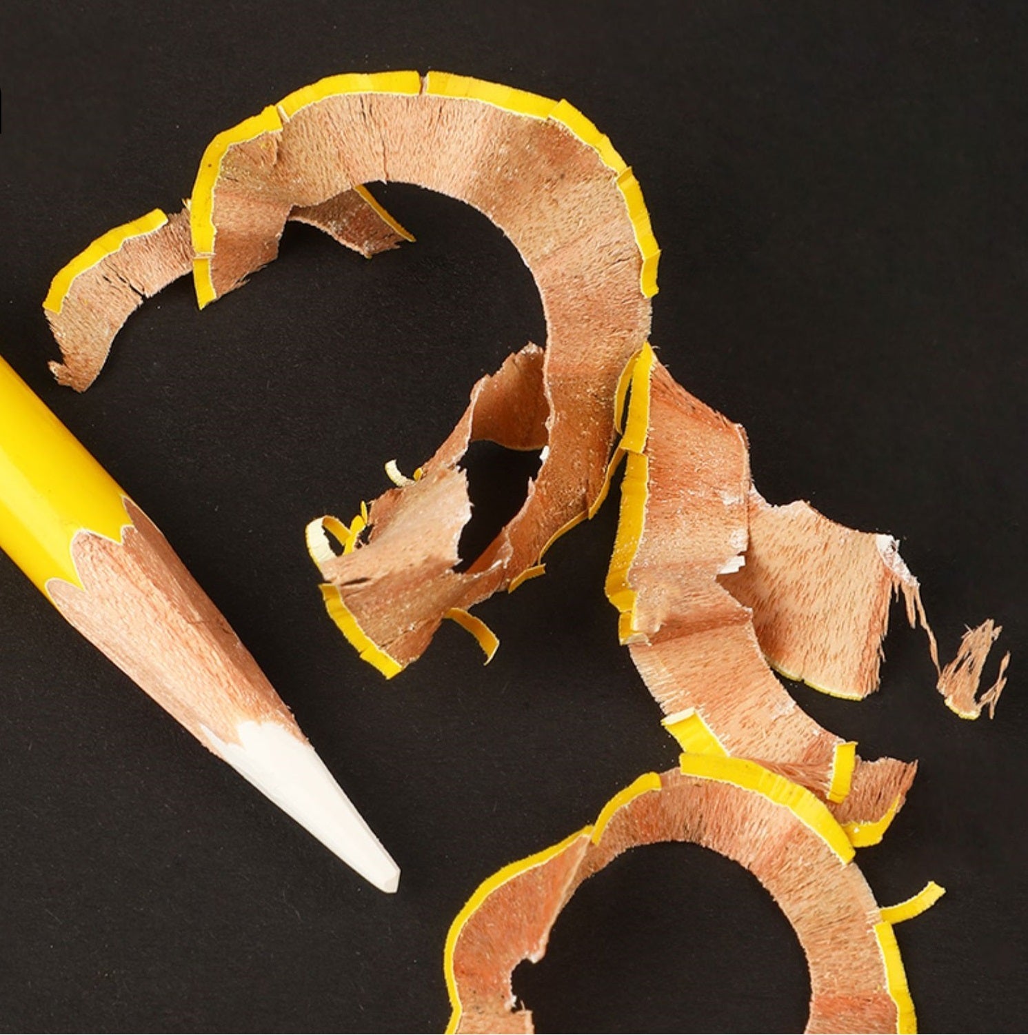 Mont Marte Coloured Charcoal Pencils - 12 Pack