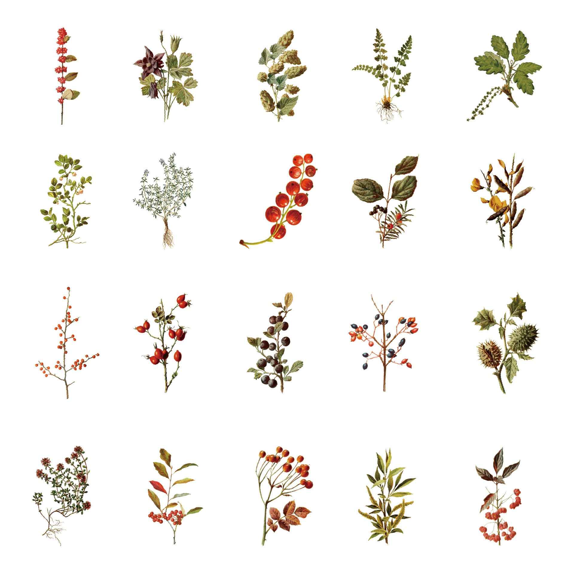 160pcs Clear PET Transparent Flower Floral Stickers Set - TTpen