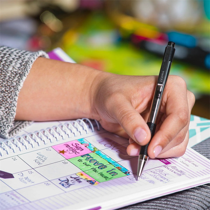 Zebra Pen F-301 Compact Ballpoint Stainless Steel Retractable Pen 0.7mm