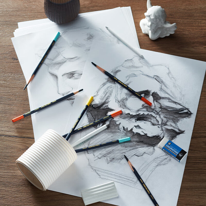 SAKURA Charcoal Pencils Drawing Set -12 Pieces Soft Medium Hard