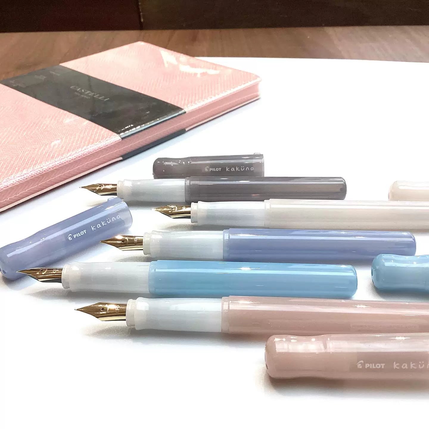 Pilot Kakuno Fountain Pen Madoromi Color Series