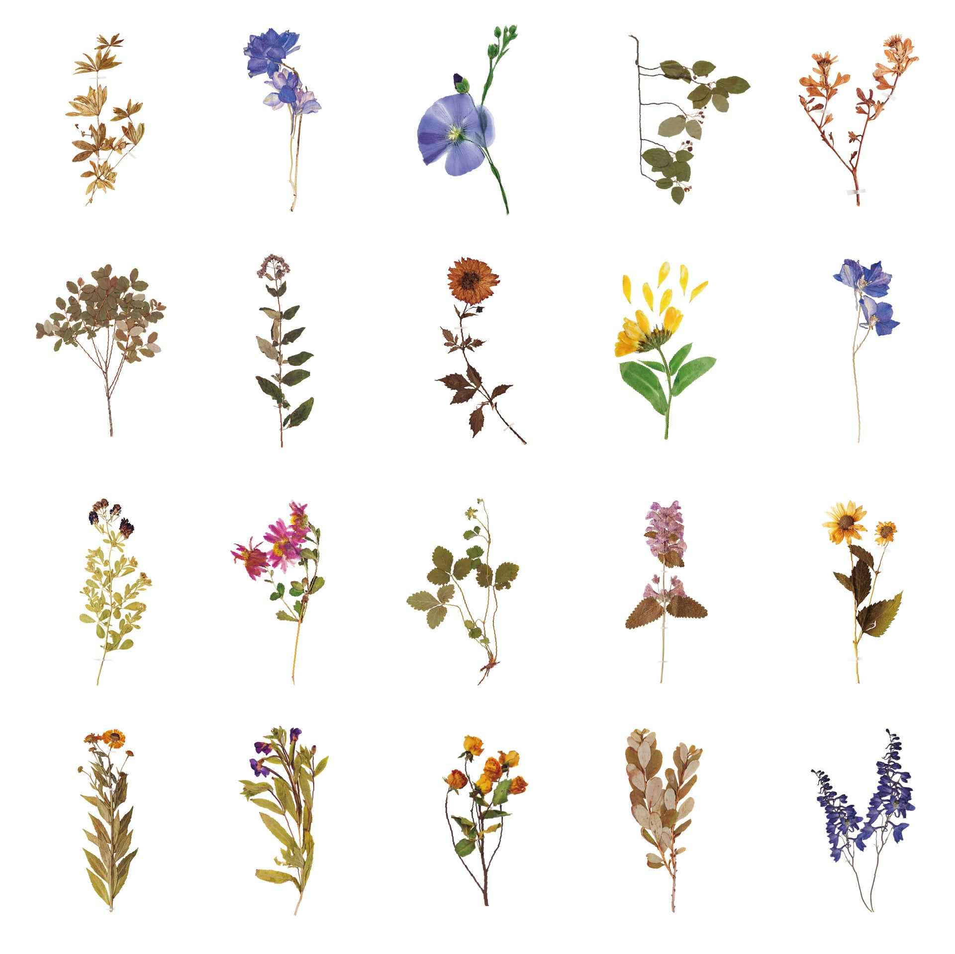 160pcs Clear PET Transparent Flower Floral Stickers Set - TTpen