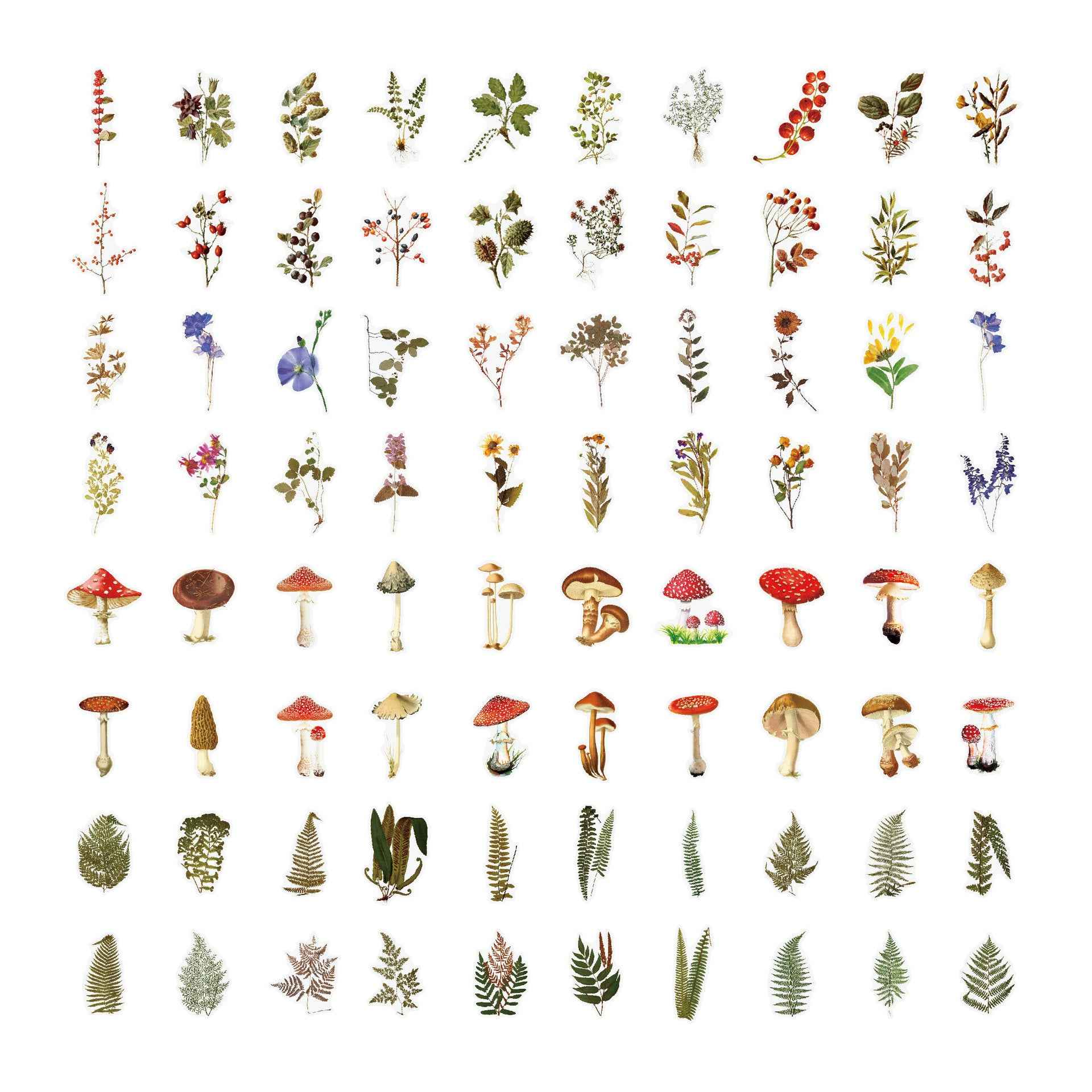 160pcs Clear PET Transparent Flower Floral Stickers Set - TTpen