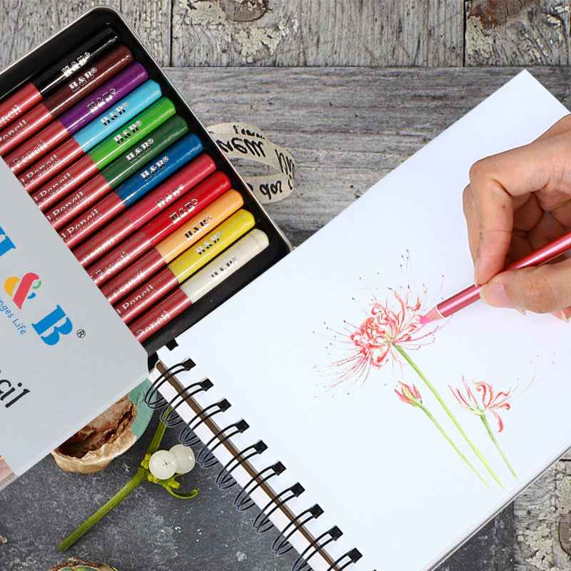 H&B Pastel Pencils, 4mm Core, Metal Tin, 12 Count - TTpen