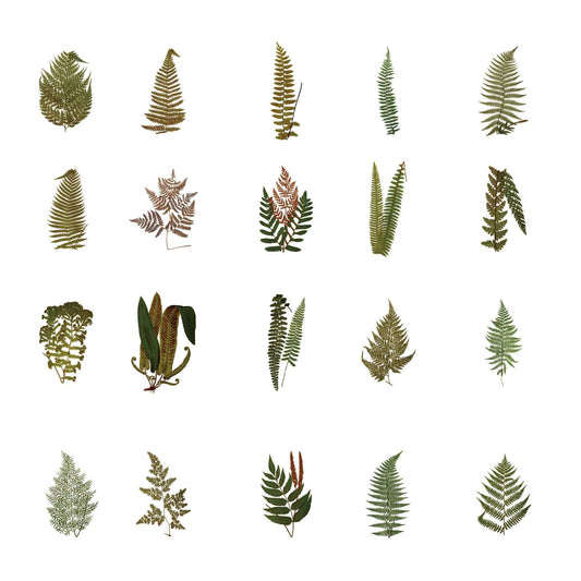 160pcs Clear PET Transparent Flower Floral Stickers Set - TTpen